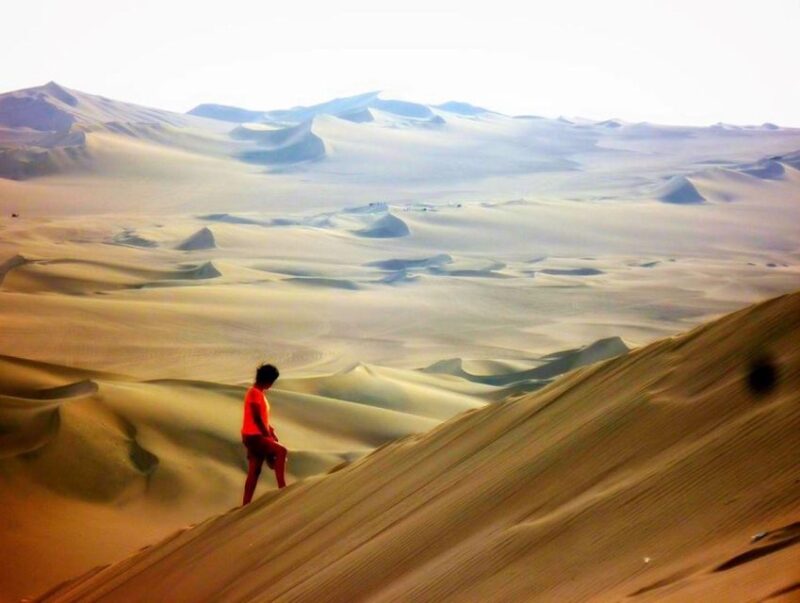 From Lima: Ica Paracas and Ballestas Islands Tour for 1 Day - Itinerary and Activities
