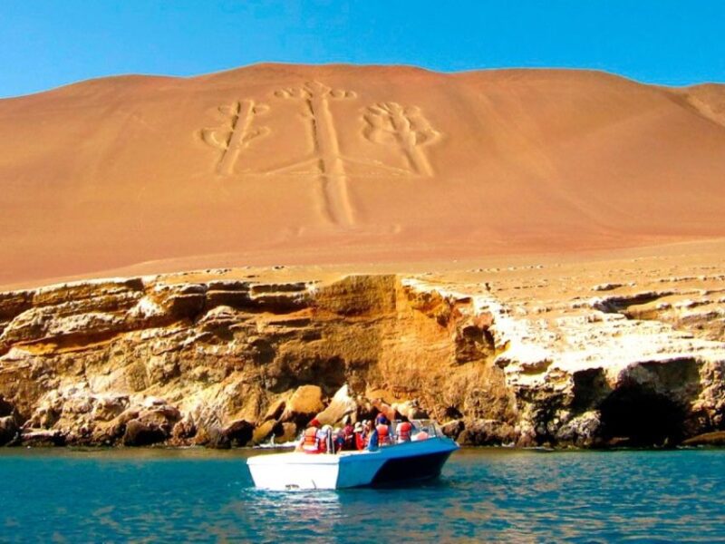 From Lima: Ica Paracas and Ballestas Islands Tour for 1 Day - Highlights and Experiences