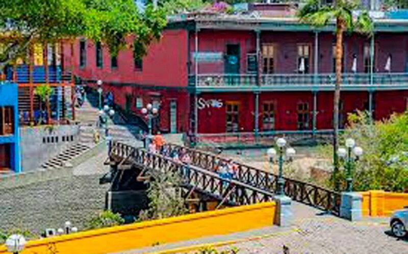 From Lima: Nature Tour - Tour Details