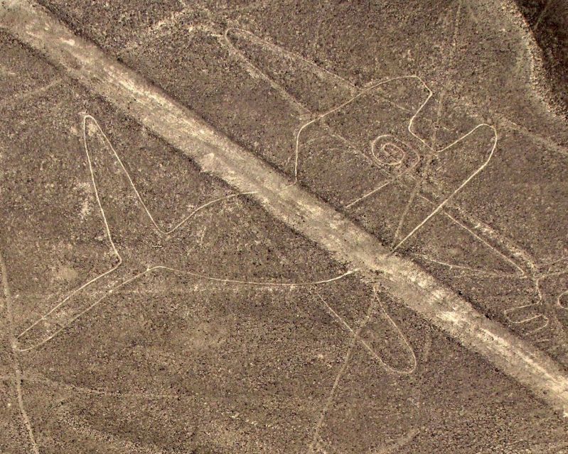 From Lima: Nazca Lines & Huacachina Oasis Guided Tour - Frequently Asked Questions