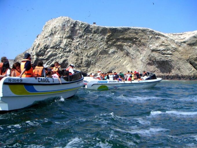 From Lima: Paracas and Huacachina Full Day Guided Tour - Vineyard Tour and Tasting