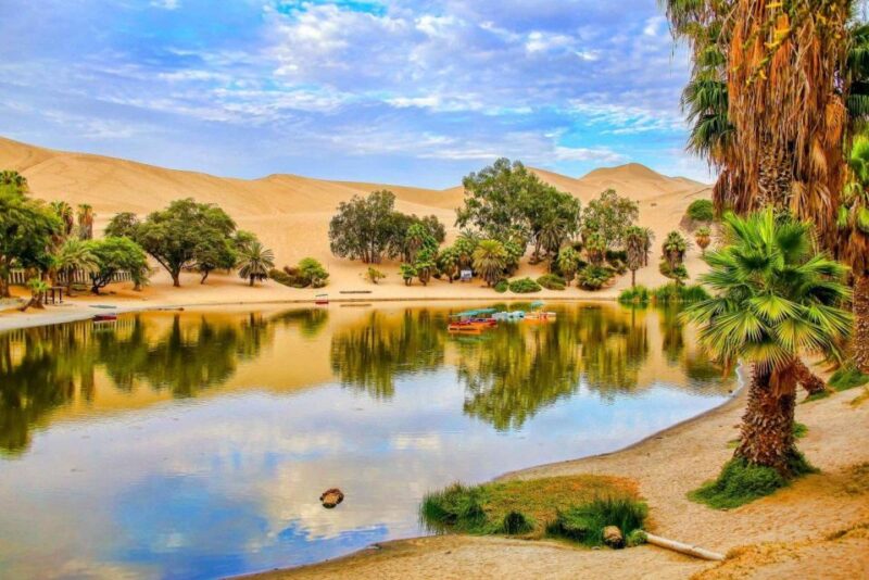 From Lima: Paracas and Huacachina Guided Desert Oasis Trip - Highlights of the Itinerary