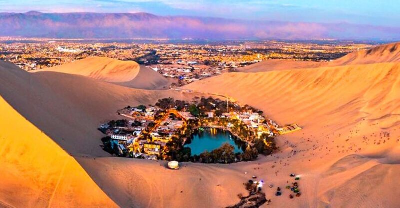 From Lima: Paracas and Huacachina Oasis Tour by Luxury Bus - Key Points