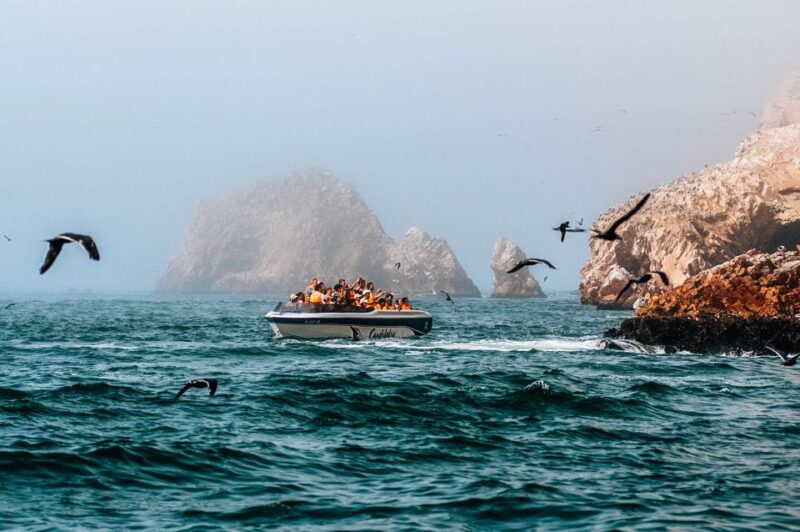 From Lima: Paracas, Ballestas Island & Huacachina 2 Day Tour - Pickup Information