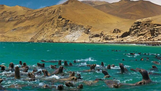 From Lima: Paracas–Huacachina and Nazca Lines 2 Days/1 Night - Activity Details