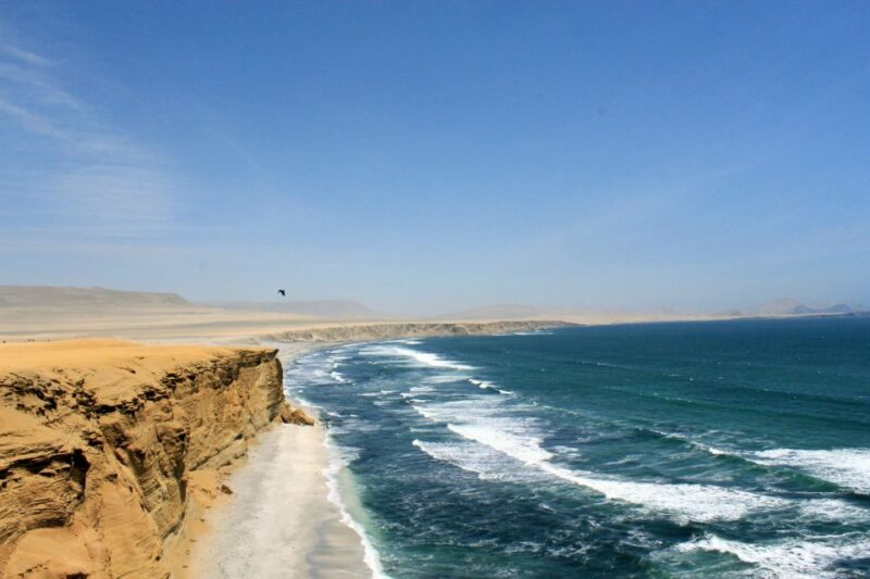 From Lima: Paracas National Reserve Tour & Ballesta Islands - Inclusions and Exclusions