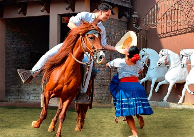 From Lima: Sanctuary of Pachacamac & Paso Horse - Peruvian Paso Horse
