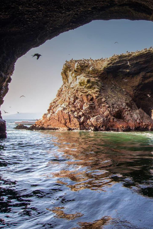 From Lima: Tour Desert of Ica + Paracas + Nazca - Day 1 Excursion