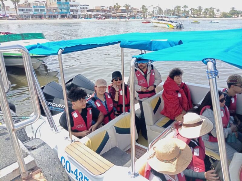 From Lima: Tour to Ballestas Islands, Huacachina Oasis - Itinerary and Experience