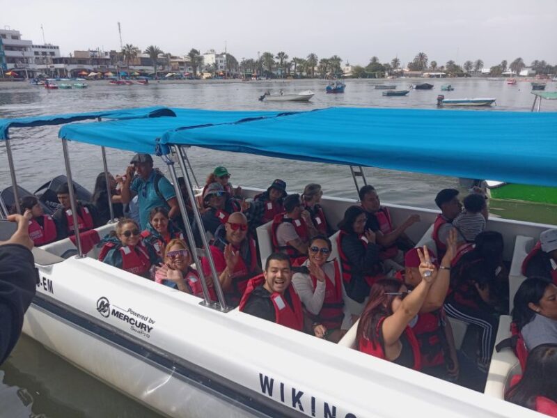 From Lima: Tour to Ballestas Islands, Huacachina Oasis - Transportation and Group Details