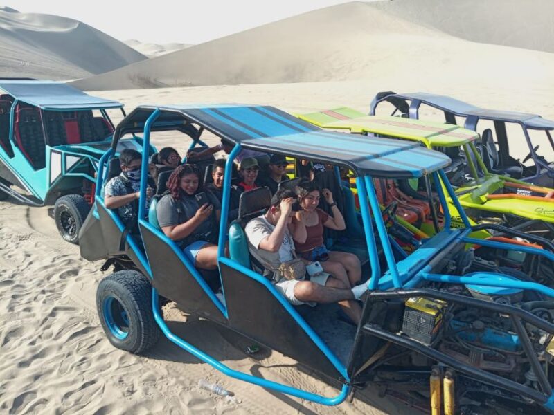 From Lima: Tour to Ballestas Islands, Huacachina Oasis - Inclusions and Exclusions