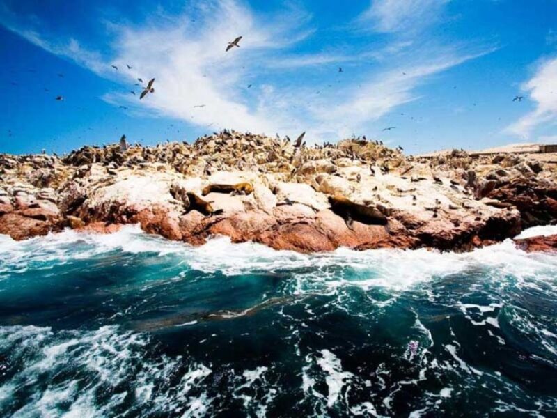 From Lima: Tour to Paracas - Huacachina - Nazca 2D/1N - Important Information