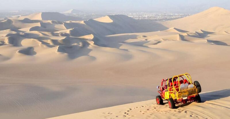 From Lima: Tour to Paracas, Ica and Huacachina - Itinerary Highlights