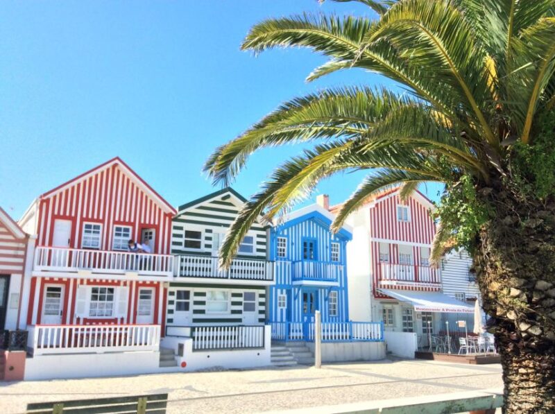 From Lisbon: Aveiro, Moliceiro Boat and Coimbra Tour - Key Points