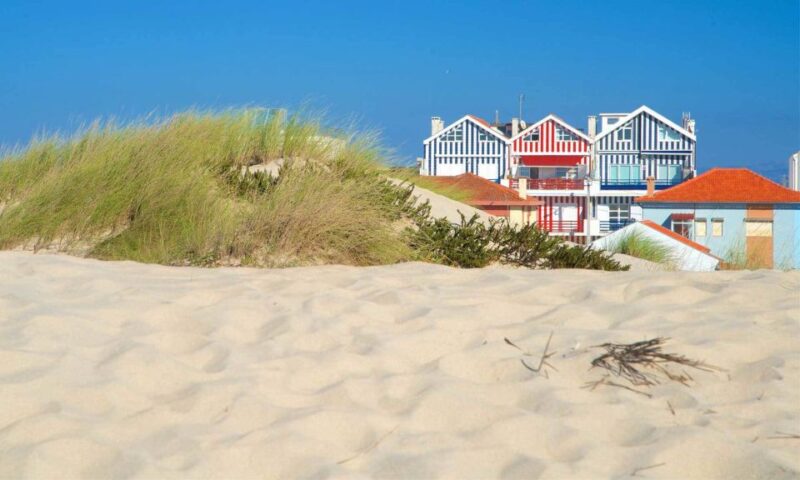 From Lisbon: Aveiro, Moliceiro Boat and Coimbra Tour - Itinerary Highlights