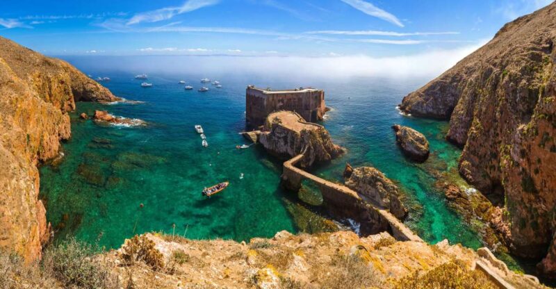 From Lisbon: Berlenga Grande Island Private Tour - Itinerary and Activities