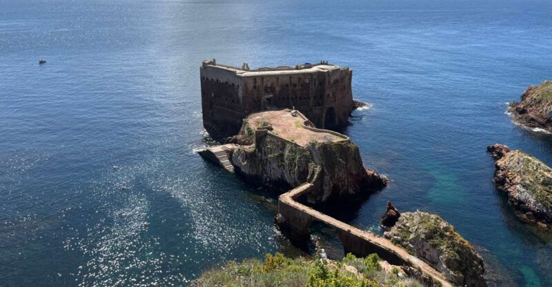 From Lisbon: Berlenga Grande Sightseeing Tour - Highlights and Activities