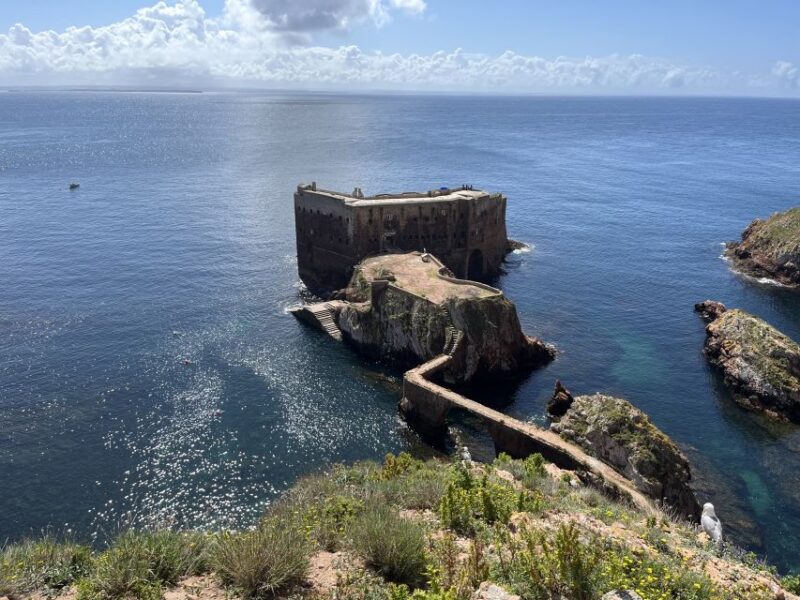 From Lisbon: Berlenga Grande Sightseeing Tour - Cancellation Policy
