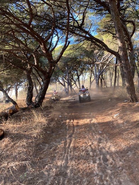 From Lisbon: Costa Da Caparica Guided Quad Bike Tour - Key Points