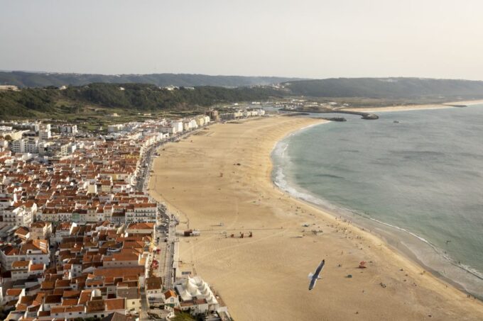 From Lisbon: Day Trip to Porto, Óbidos, and Nazaré - Recommendations for Improvement