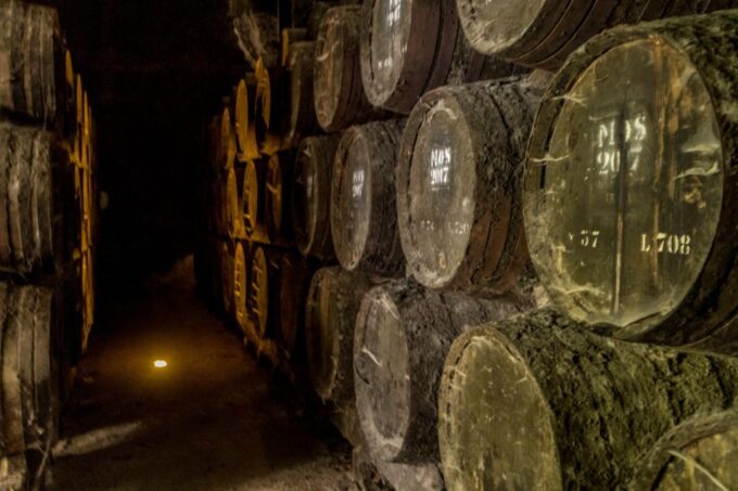 From Lisbon: Discover the Charm of Douro Valley - Frequently Asked Questions