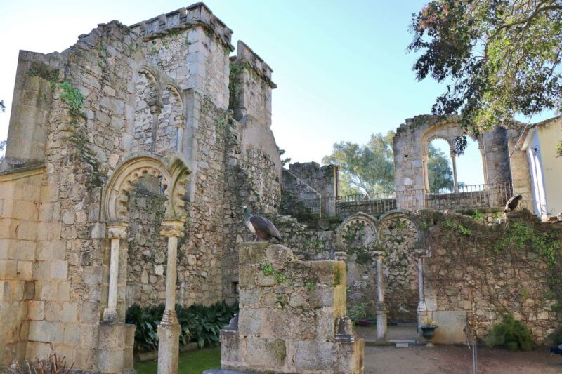 From Lisbon: Évora Private Historic Discovery Tour - Tour Experience