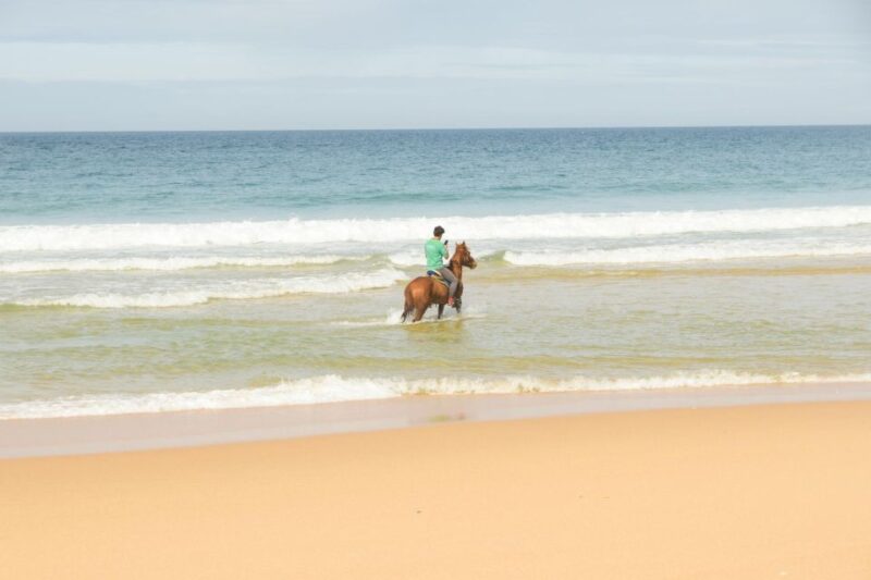 From Lisbon: Horseback Riding on Comporta Beach - Pricing and Booking
