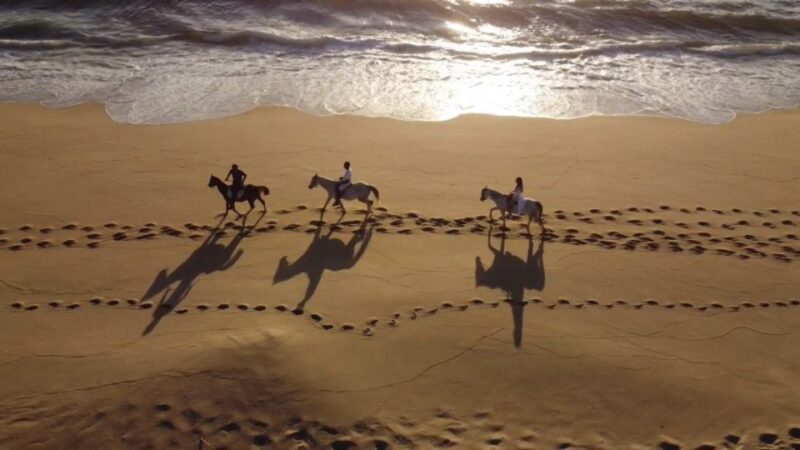 From Lisbon: Horseback Riding on Comporta Beach - Riding Experience