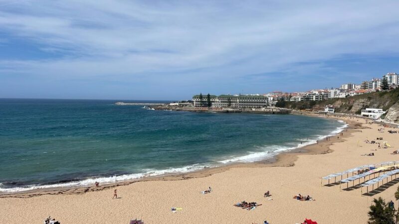 From Lisbon: Mafra, Ericeira and Queluz - Full Day Tour - Transportation and Logistics