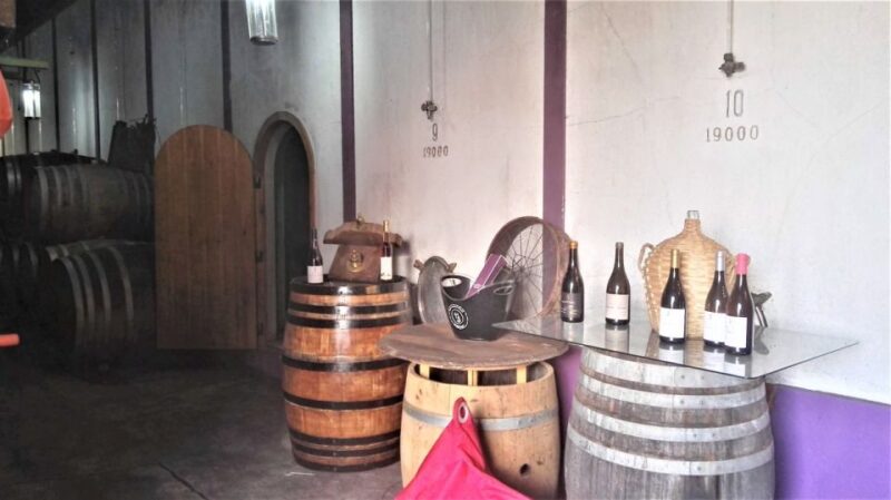 From Lisbon: Palmela Wine Tasting Tour With Snacks - Key Points