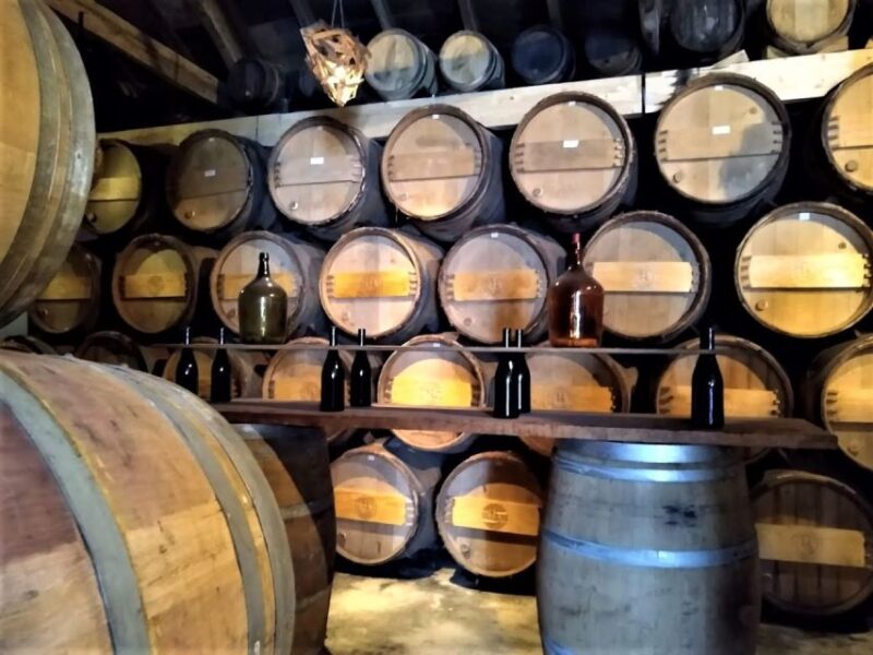 From Lisbon: Palmela Wine Tasting Tour With Snacks - Pickup Location