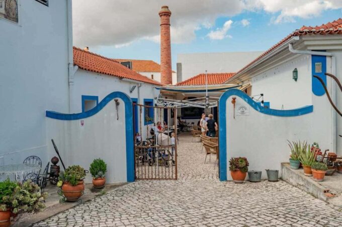 From Lisbon: Palmela Wine Tasting Tour With Snacks - Activities Included