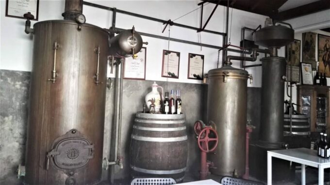 From Lisbon: Palmela Wine Tasting Tour With Snacks - Frequently Asked Questions