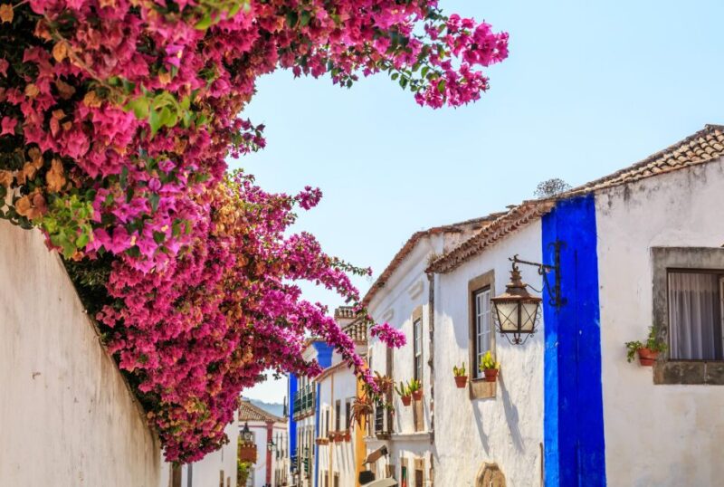 From Lisbon: Porto, Aveiro & Passionate Portugal 3 Day Tour - Guided Tour of Porto