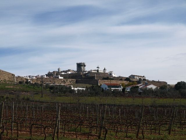 From Lisbon: Private 9-Hour Tour of Évora and Estremoz - Cultural and Historical Insights