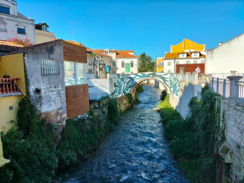 From Lisbon: Private Eco-Tour to Alcobaça, Nazaré & Óbidos - Inclusions and Amenities