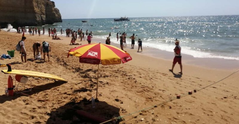 From Lisbon: Private Transfer to Albufeira or Vilamoura - Experience Highlights
