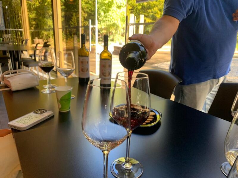 From Lisbon: Setúbal & Arrábida Wine Tour With Lunch - Cultural Experiences