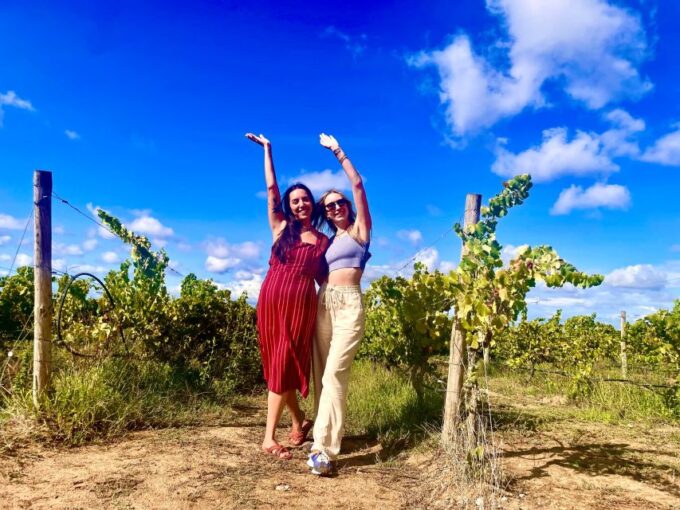 From Lisbon: Setúbal & Arrábida Wine Tour With Lunch - Wineries & Tasting Experiences