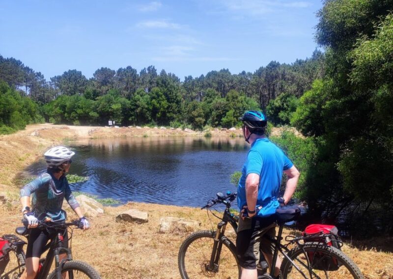 From Lisbon: Sintra and Cascais E-Bike Tour - Customer Reviews