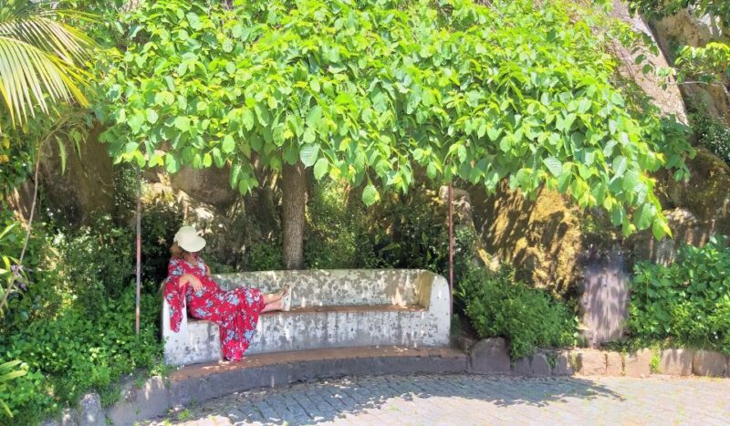 From Lisbon: Sintra, Regaleira and Pena Palace Guided Tour - Key Points
