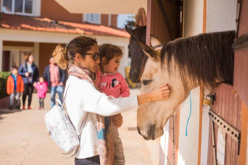 From Lisbon: The Best of Alentejo Day Trip All Inclusive - Highlights of the Itinerary