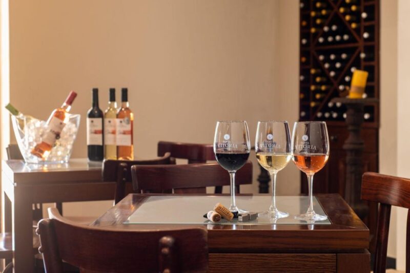 From Lisbon: The Best of Alentejo Day Trip All Inclusive - Wine Tasting Experience