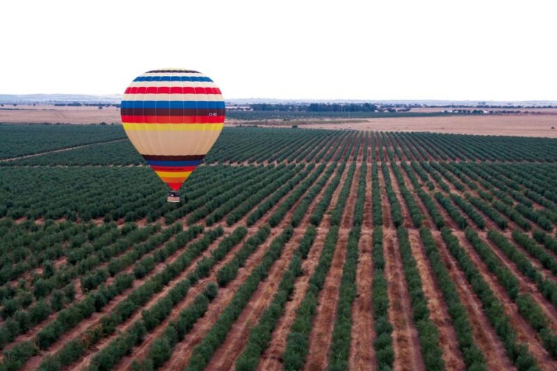 From Lisbon: The Best of Alentejo Day Trip All Inclusive - Culinary Delights of Alentejo