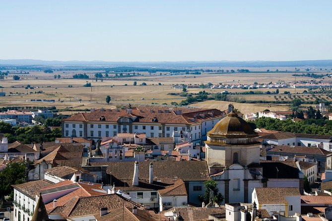 From Lisbon to Évora With Winery and Factory of Cortiça, Private Tour - Winery Visit