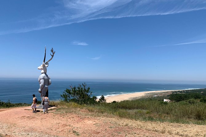 From Lisbon to Nazaré, Half Day Private Tour - Pickup and Schedule