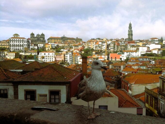 From Lisbon to Porto With 2 Stop in the Way Private Tour - Frequently Asked Questions