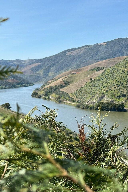 From Lisbon to Porto With Stop in Douro Valley - Highlights and Attractions