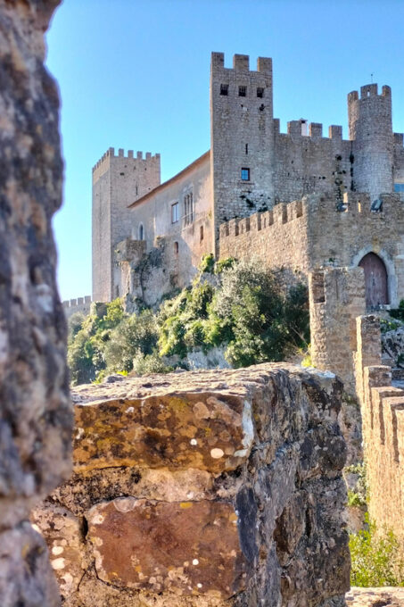 From Lisbon: Tour to Óbidos, Mafra & 3 Wineries 15 Tastings - Winery Visits and Tastings