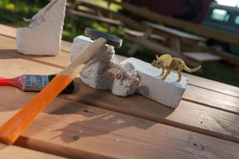 From Lisbon: Trip to Dinosaurs & Little Portugal Theme Parks - Cancellation and Pickup
